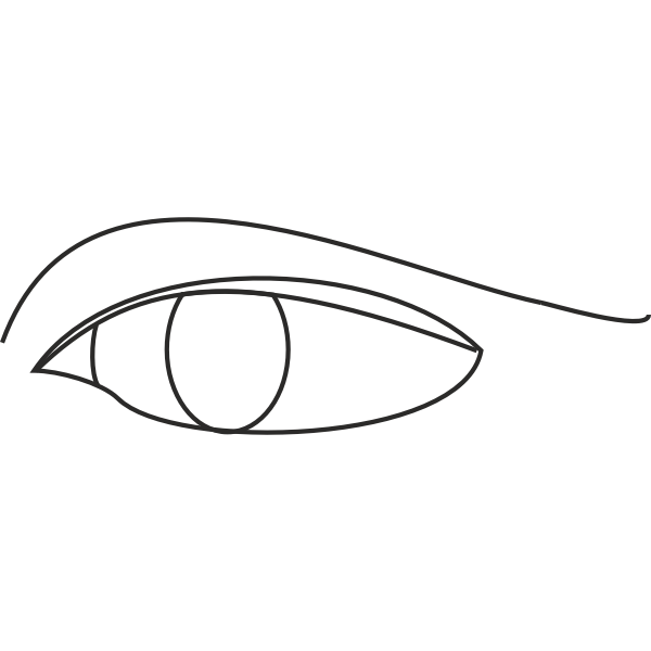 SVG Eye line drawing