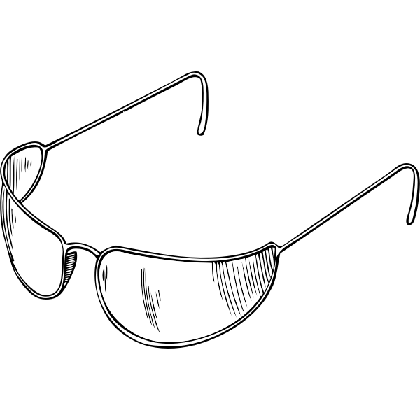 SVG eyeglasses