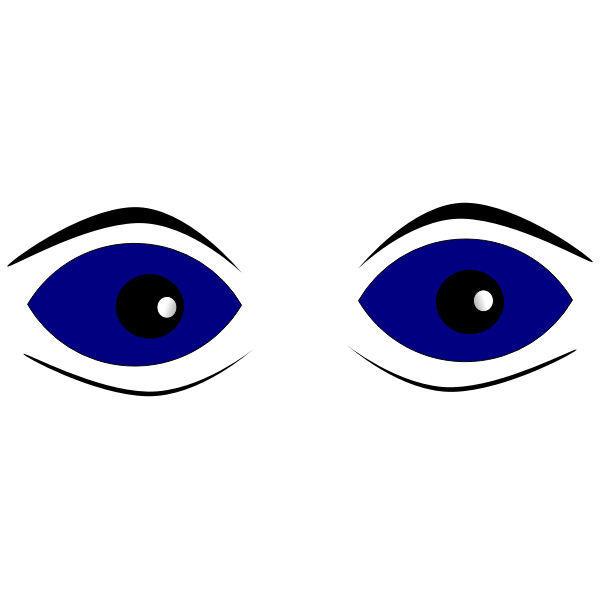 SVG Eyes close-up vector image