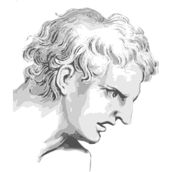 SVG Face expression man