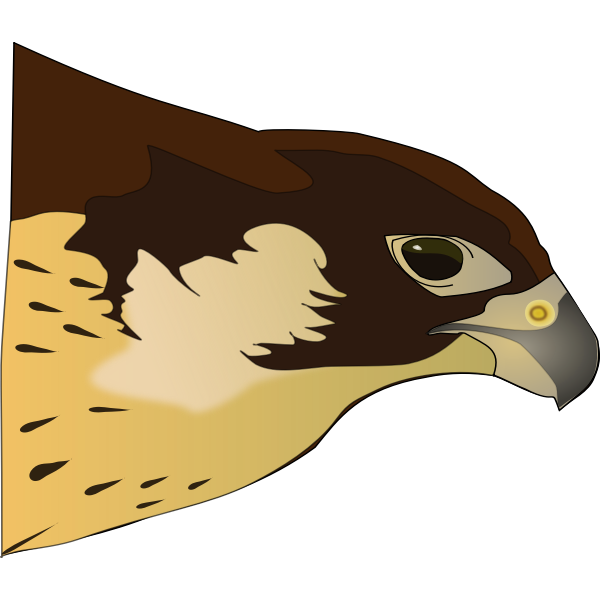 SVG Falcon
