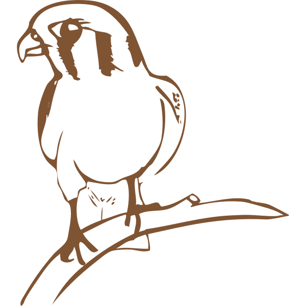 SVG Falcon drawing