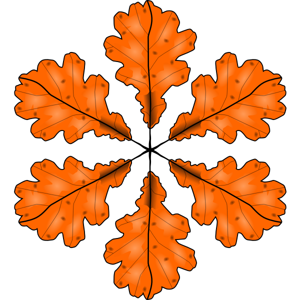 SVG Fall leaf vector illustration