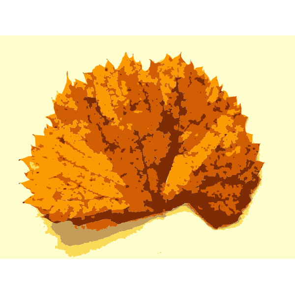 SVG Fall leaves with color