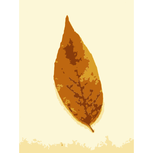 SVG Fall leaves with color 2