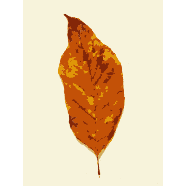 SVG Fall leaves with color 3