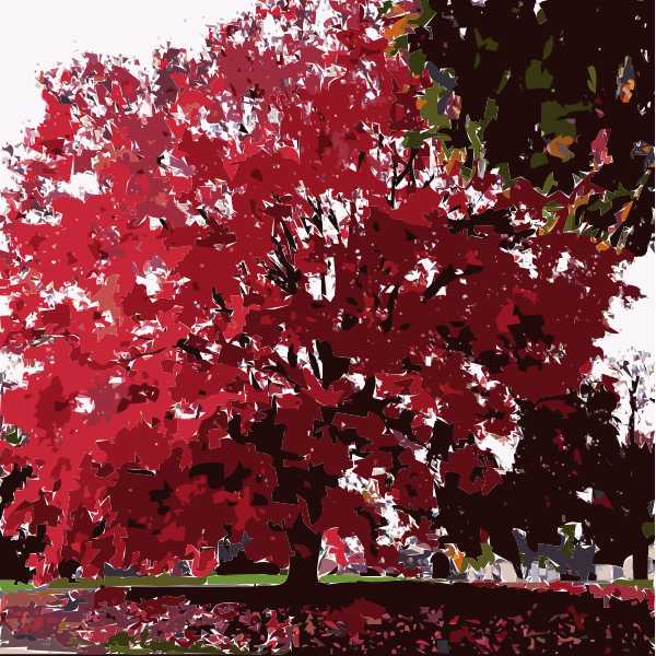 SVG Fall Tree Again 2015053131