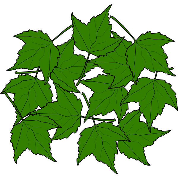 SVG Fall2010-15