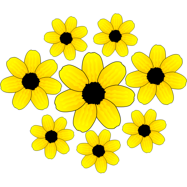 SVG Fall2010-24