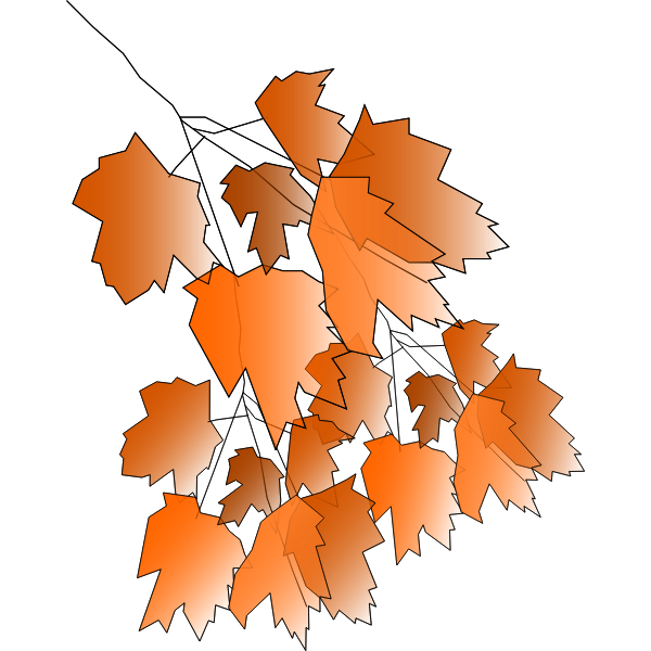 SVG Fall2010-4