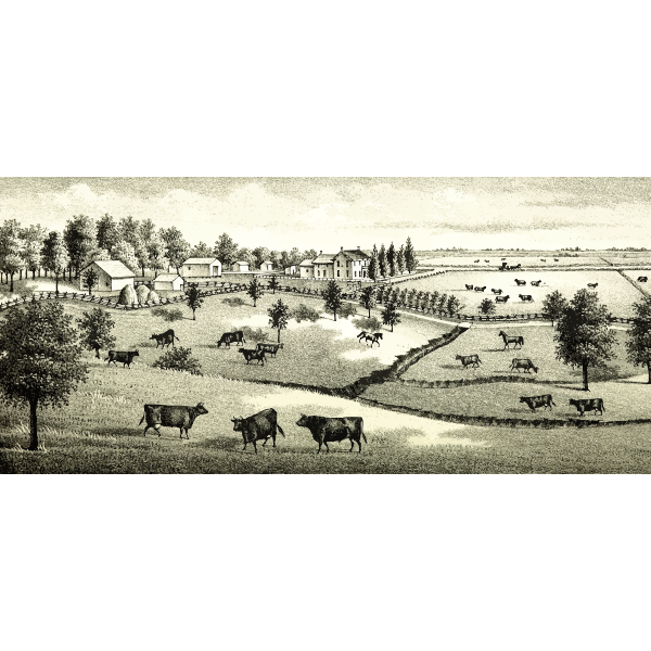 SVG Farm scene image