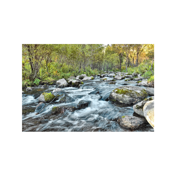 SVG Fast Flowing River In The Woods