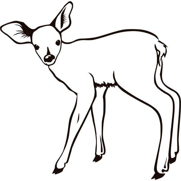SVG Fawn outline vector illustration