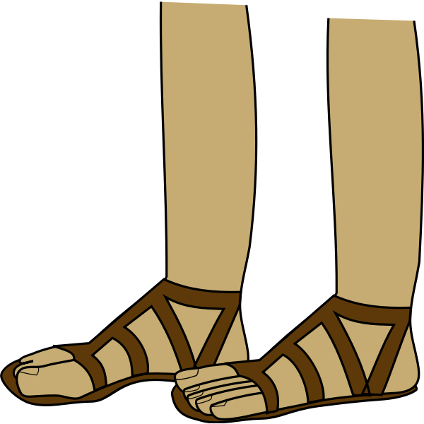 SVG Feet in sandals vector image