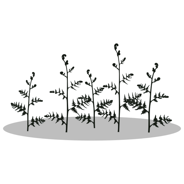 SVG Fern vector image