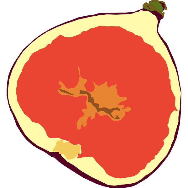 SVG Fig
