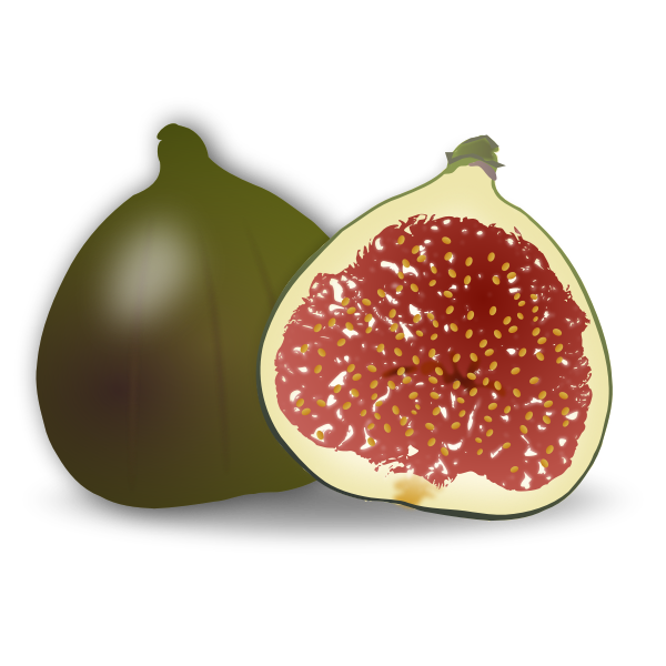 SVG Fig fruit