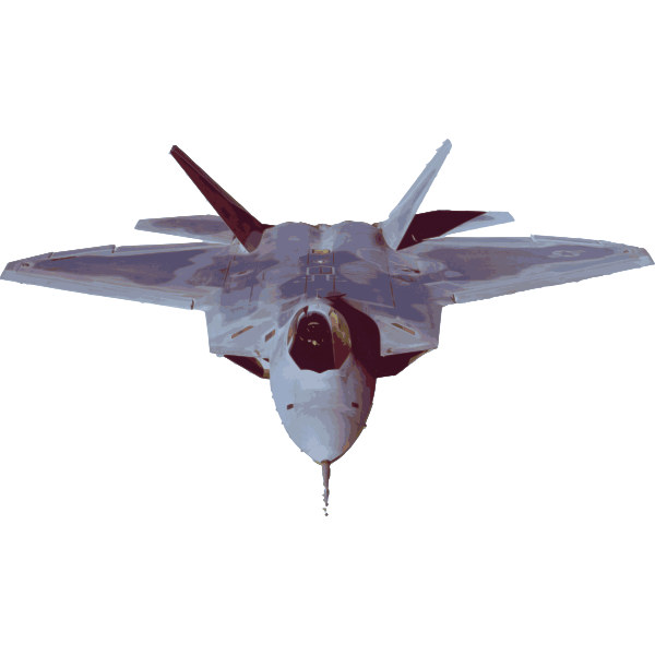 SVG Fighter aircraft vector image