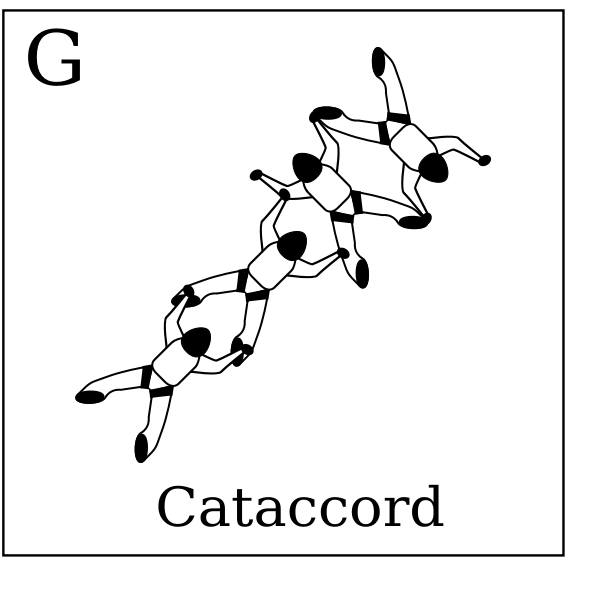 SVG Figure G - Cataccord Vol relatif  4 Formation Skydiving 4-Way