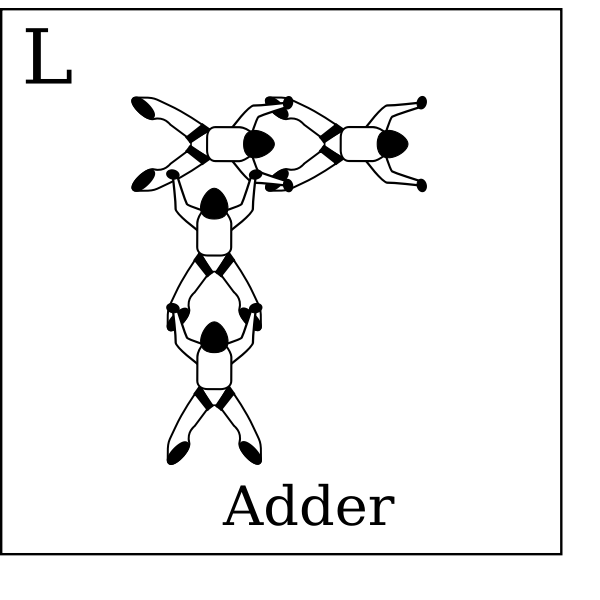 SVG Figure L - Adder Vol relatif  4 Formation Skydiving 4-Way