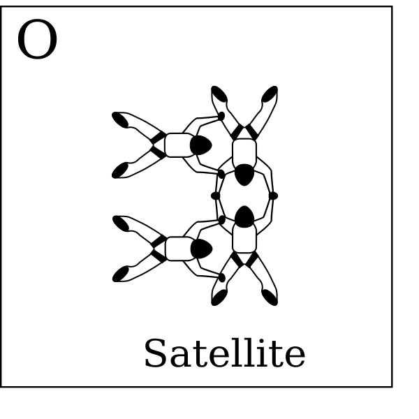 SVG Figure O - Satellite Vol relatif  4 Formation Skydiving 4-Way