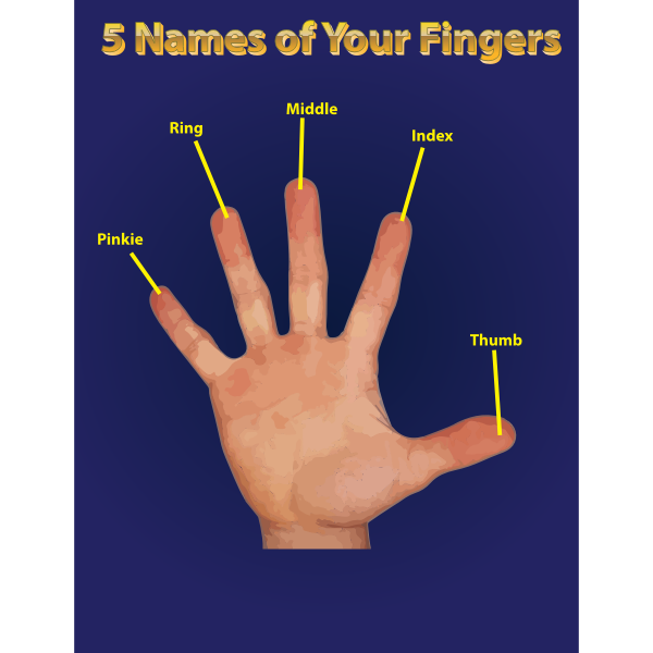 SVG Finger Names Poster