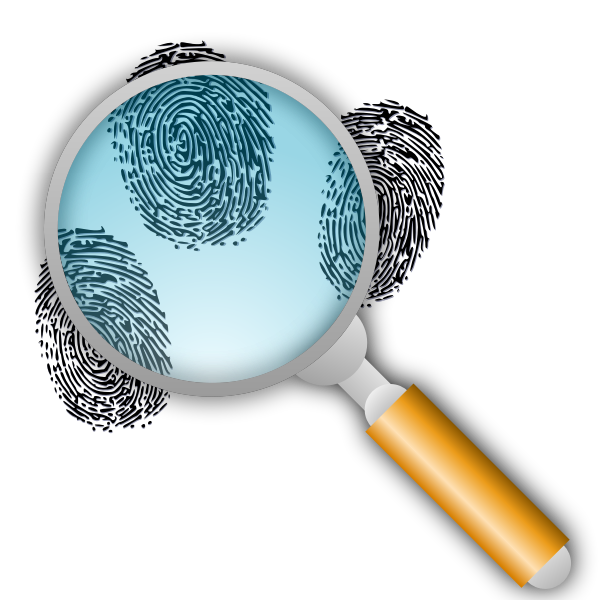 SVG Fingerprint Search with Slight Magnification