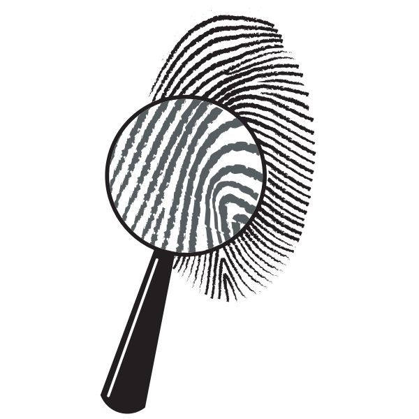 SVG Fingerprints under the magnifying glass