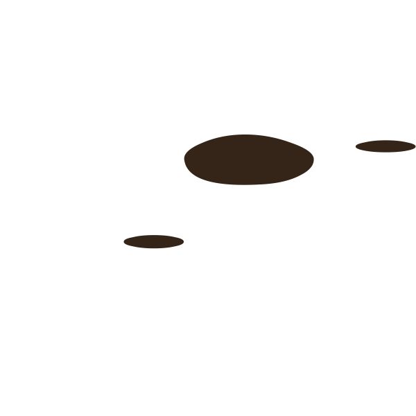 SVG firebog soil debris1