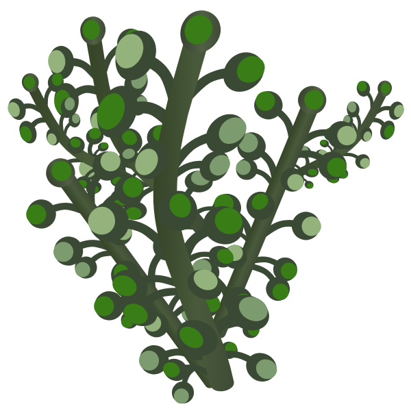 SVG firebog underground bogwillow
