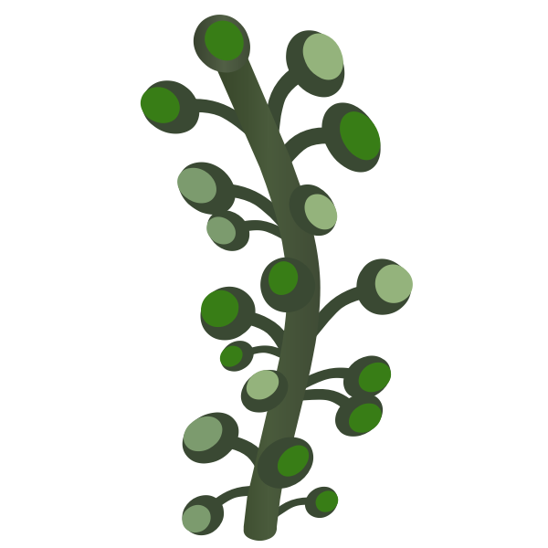 SVG firebog underground bogwillow 1