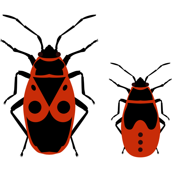 SVG Firebug by Rones