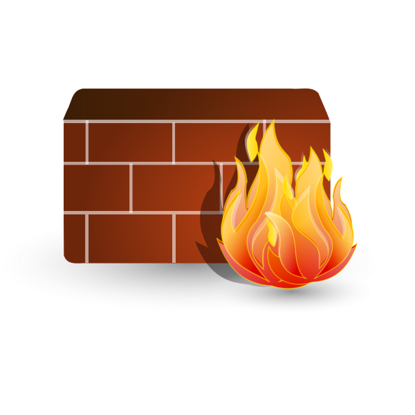 SVG Firewall for computer networks vector image