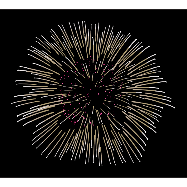 SVG Fireworks vector image