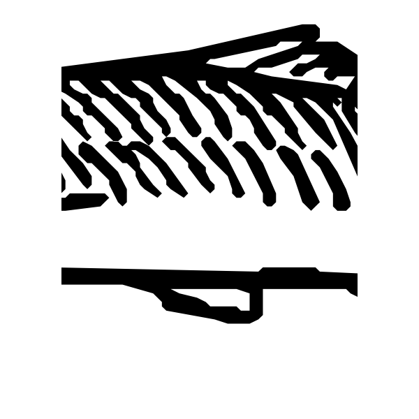 SVG Fish 3
