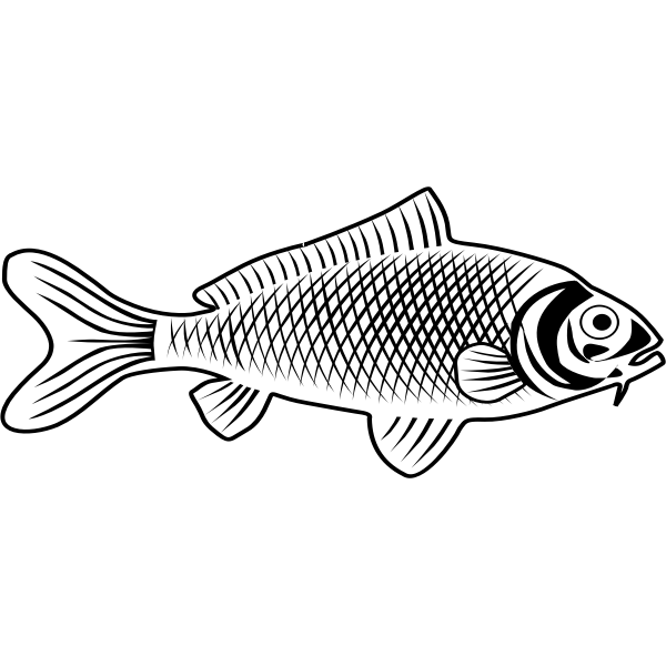 SVG Fish line art