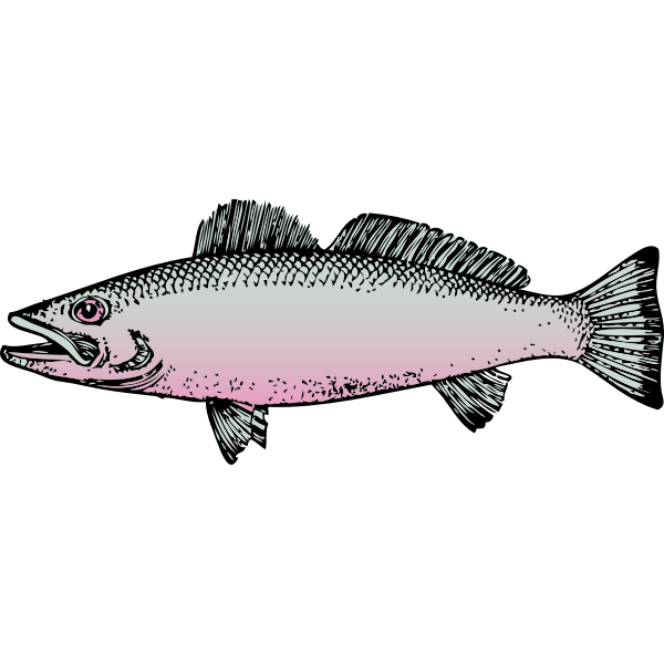 SVG Fish vector graphics