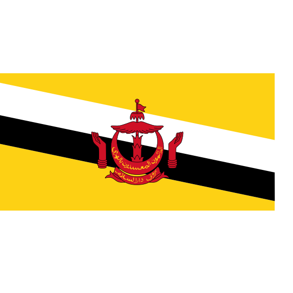 SVG Flag of Brunei Darussalam vector image