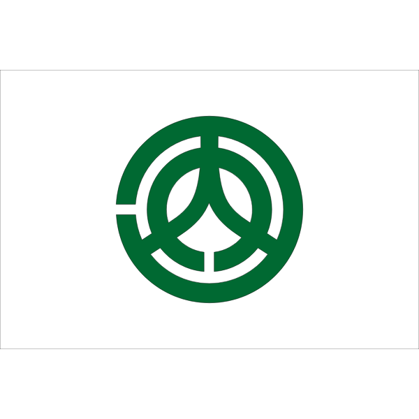 SVG Flag of Kochi Hiroshima