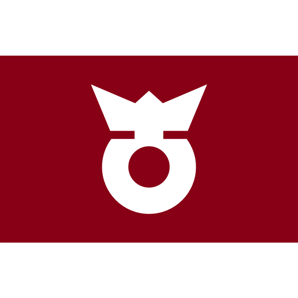 SVG Flag of Koza Wakayama