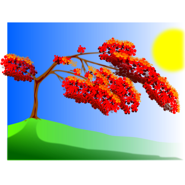 SVG FLAMBOYAN-1578384002