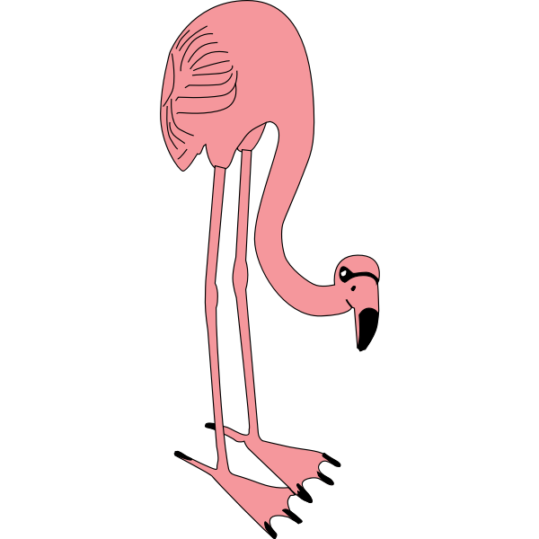SVG flamingo