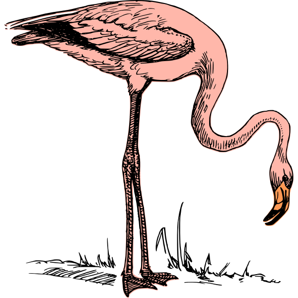 SVG flamingo