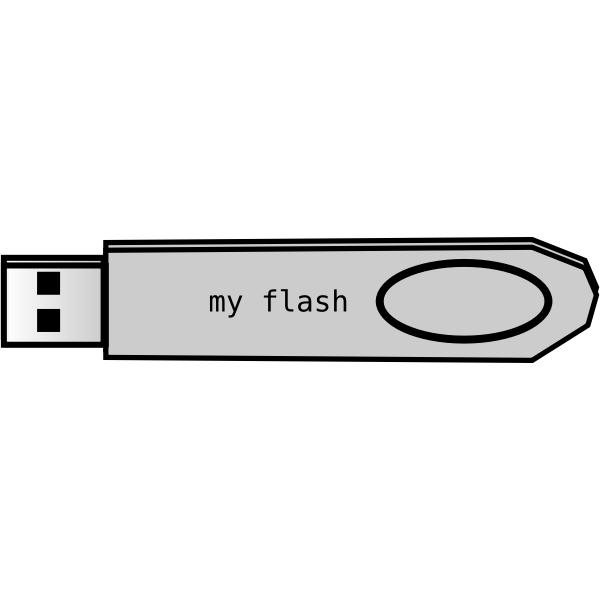 SVG Flash disk vector image