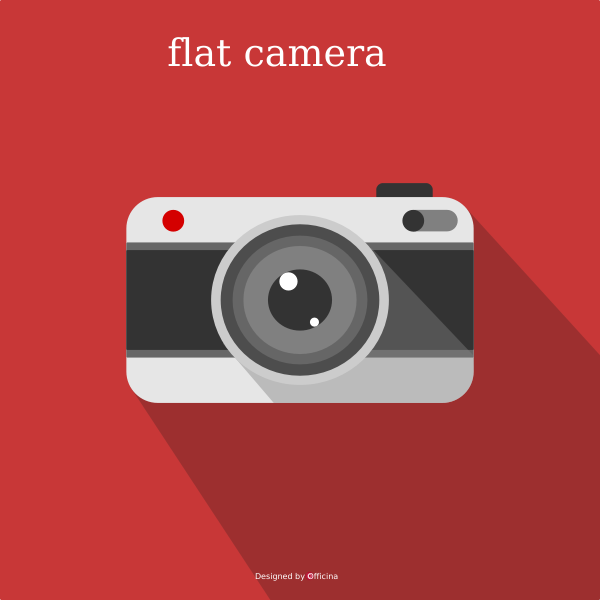 SVG Flat camera