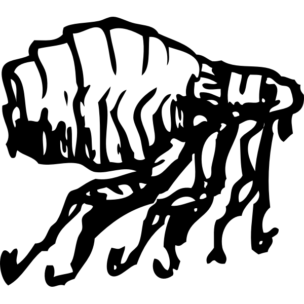 SVG Flea
