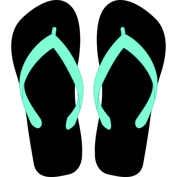 SVG Flipflops vector image