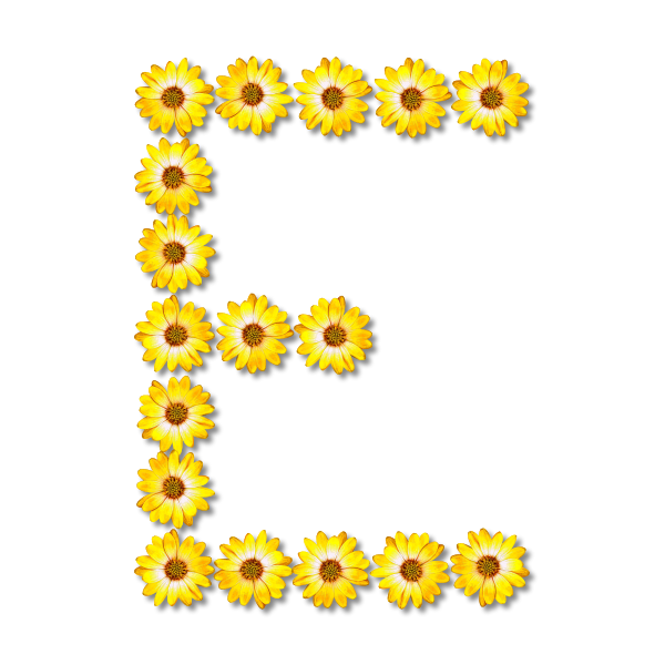 SVG Floral letter E