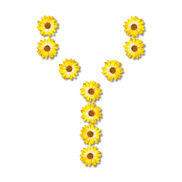 SVG Floral letter Y