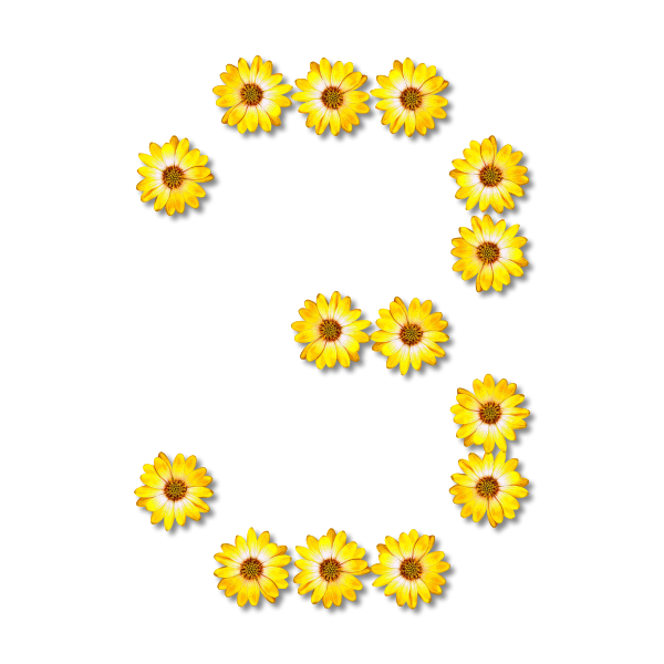 SVG Floral number 3